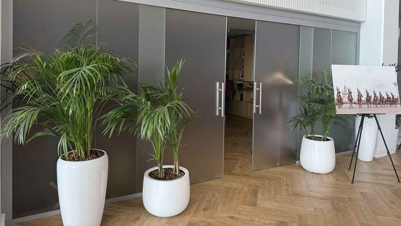 Раздвижные двери - проект 3